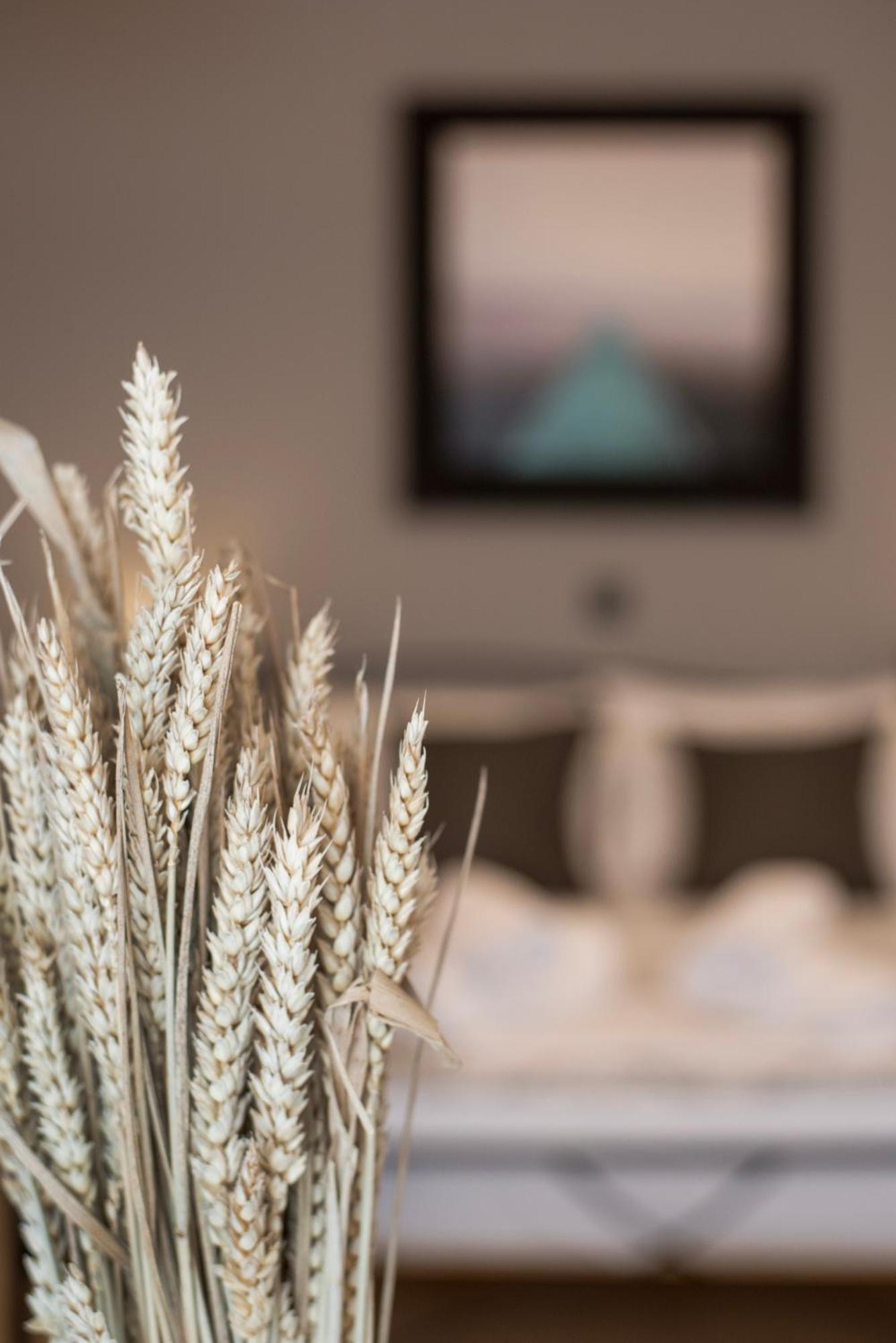 Belvedere Apartment Karystos (Evia)